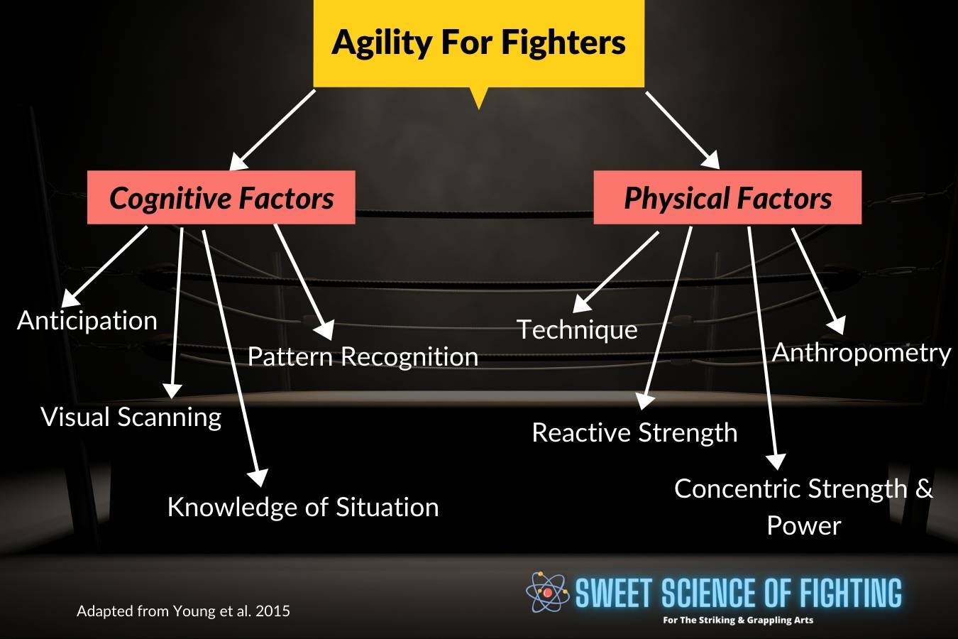 Agility For Fighters