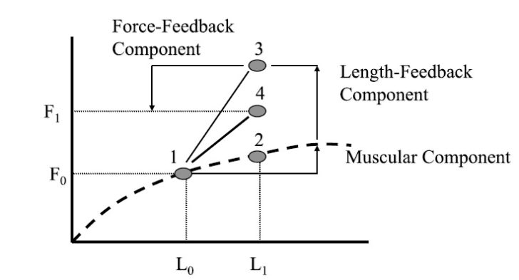 MMA Strength & Conditioning - The Complete Guide