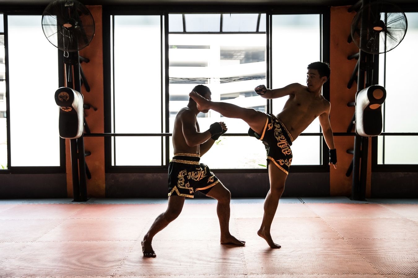 Physiological Demands Of A Muay Thai Fight Conditioning