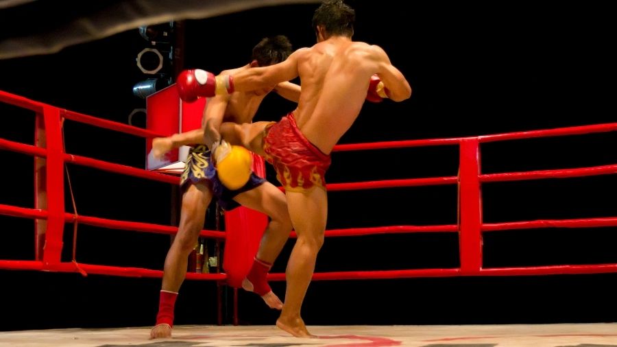 Bodybuilding And Muay Thai