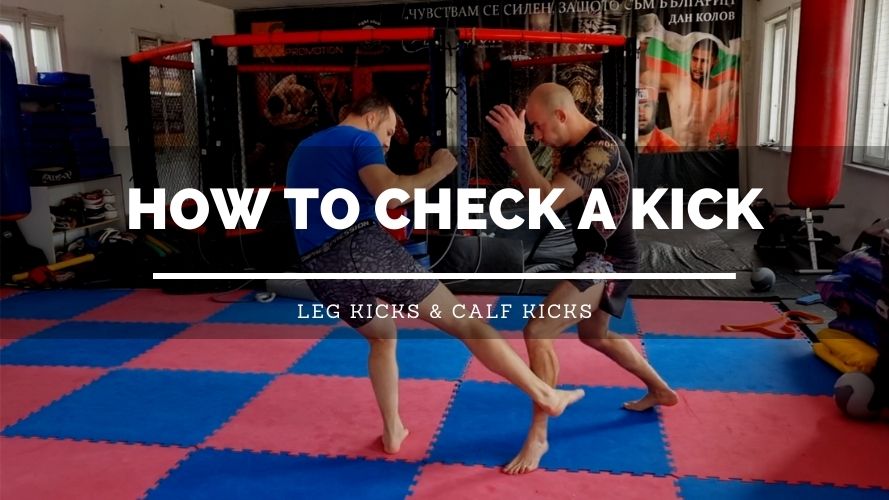 How To Check A Kick: 3 Epic Techniques - Sweet Science of Fighting