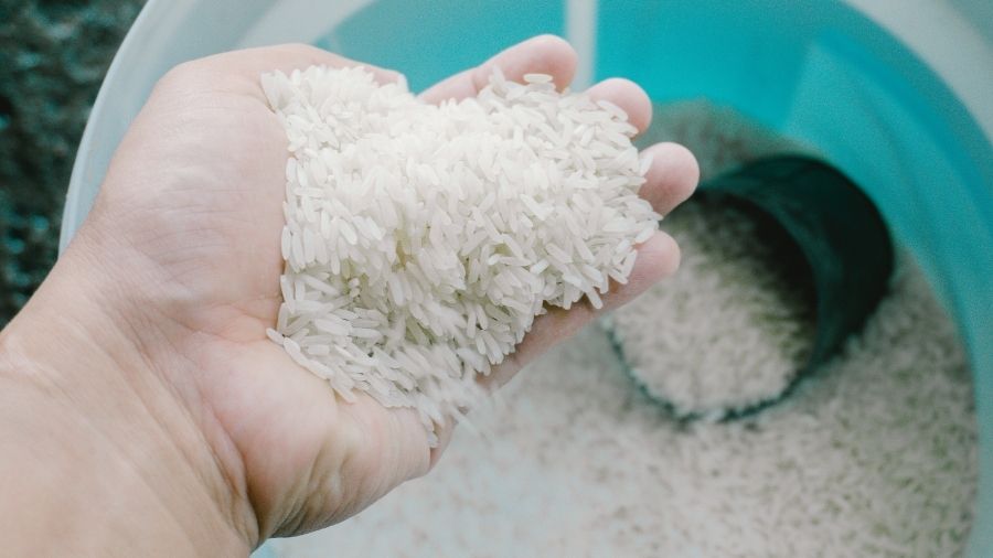 Why Should You Train Your Hands With Rice