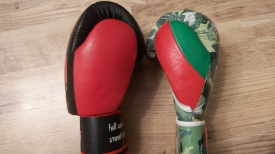 Can You Use Boxing Gloves for Muay Thai