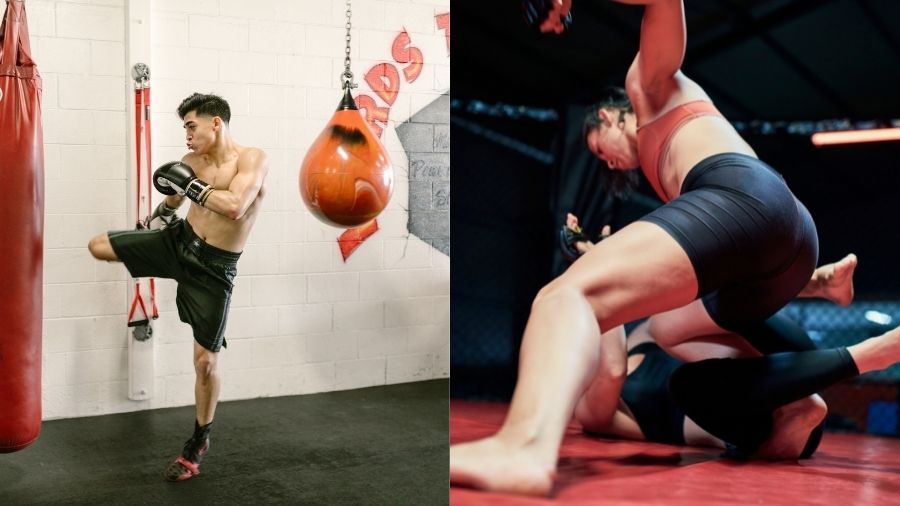 mma vs kickboxing which is better