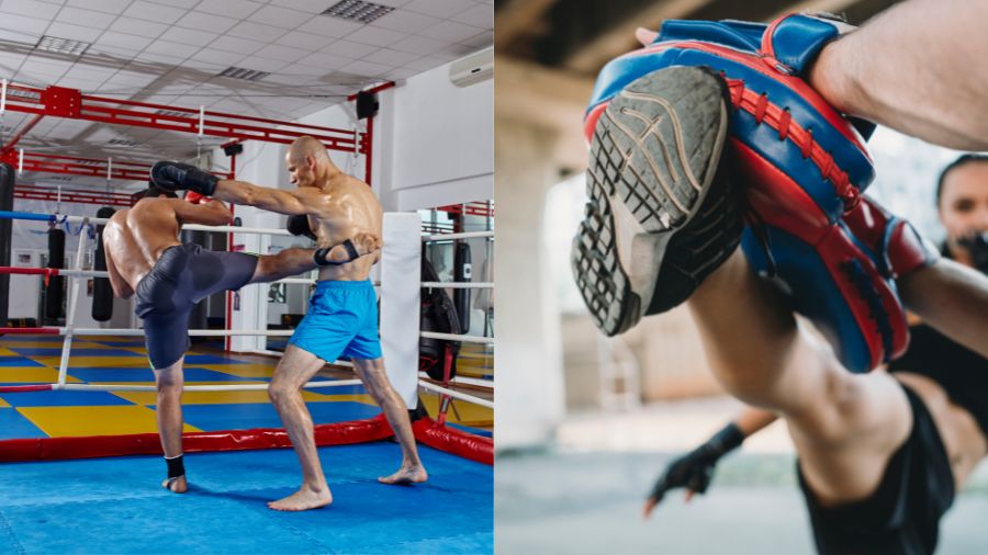 Savate vs Muay Thai For Self Defense
