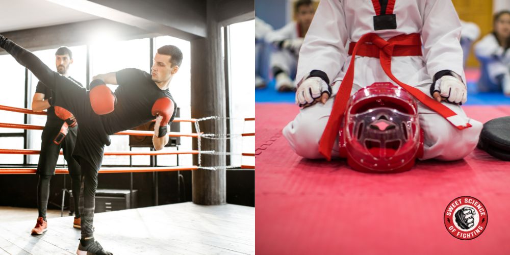 Savate vs Taekwondo For MMA
