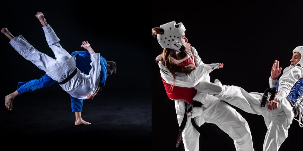 Judo vs Taekwondo For MMA