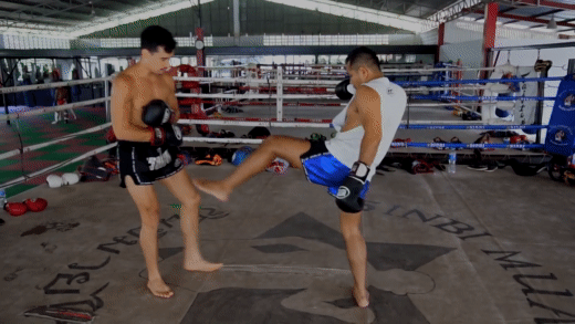 Front Kick For Beginners