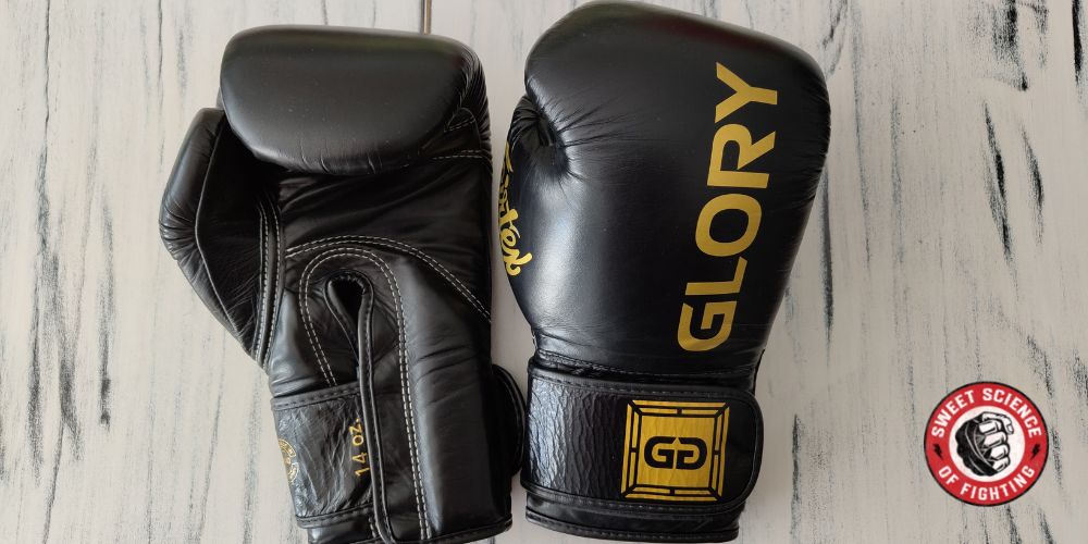 Glory Kickboxing Gloves