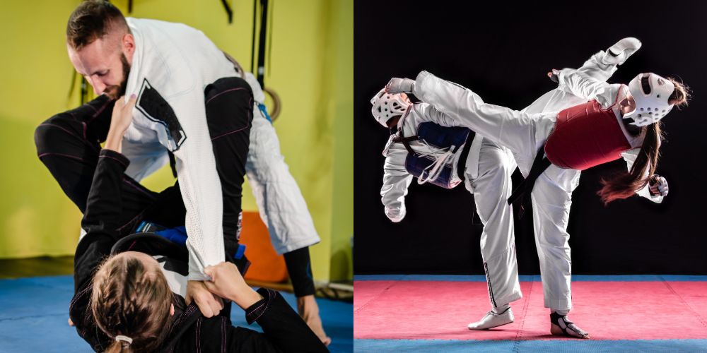difference between taekwondo and jiu jitsu
