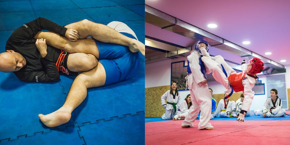 taekwondo vs jiu jitsu which is better