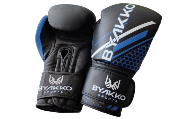Byakko Boxing Gloves