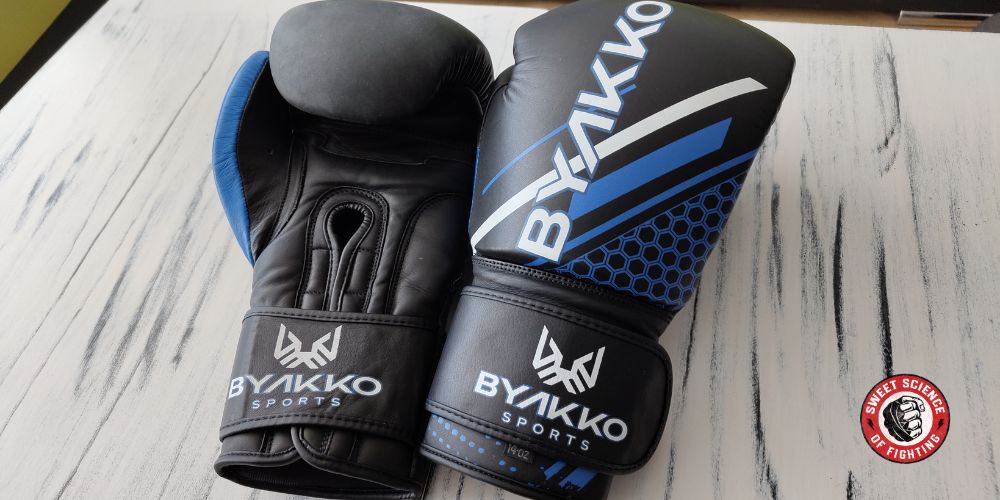Byakko Gloves Review